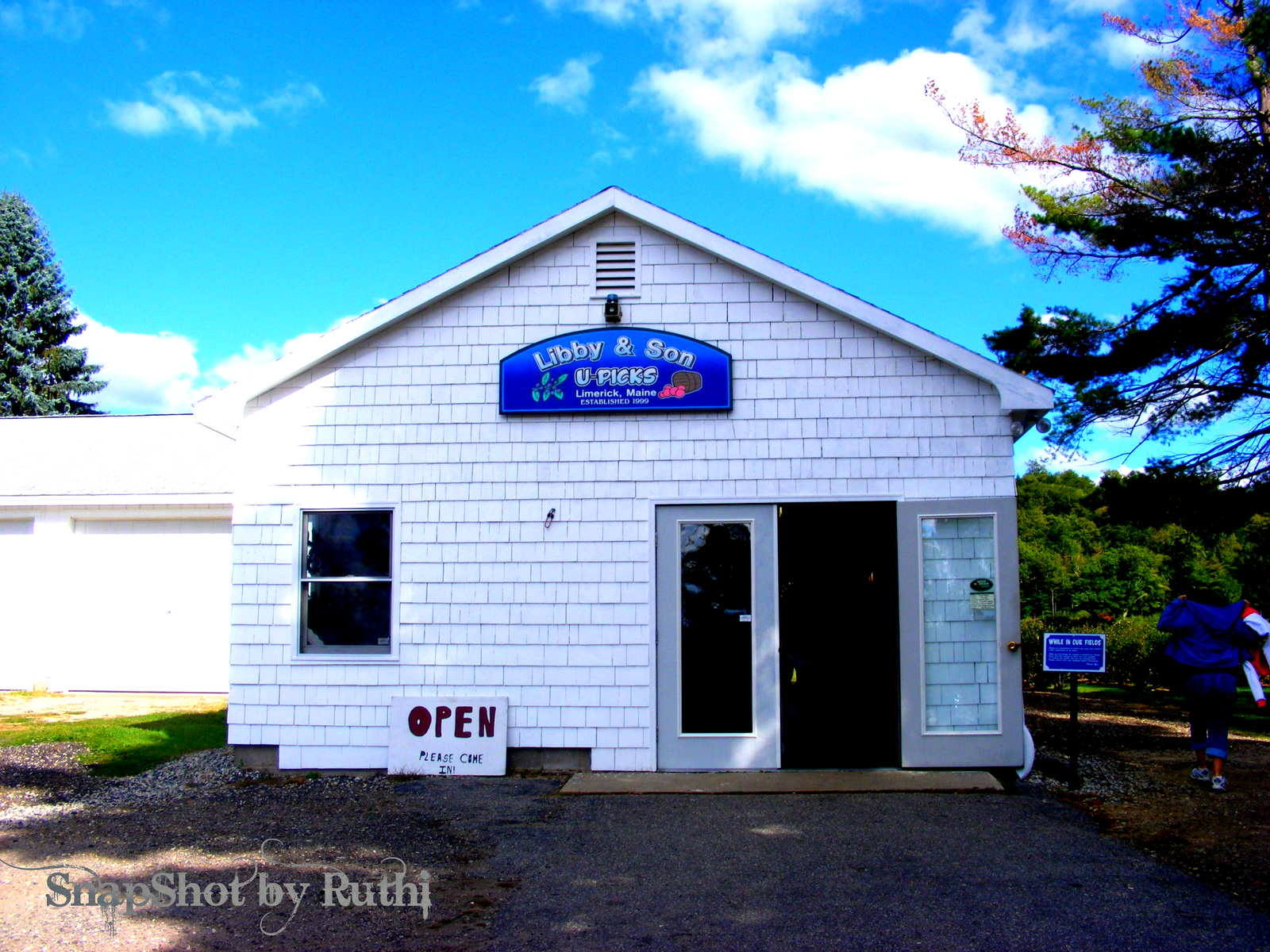 RuthinianGregoire PYO Apple