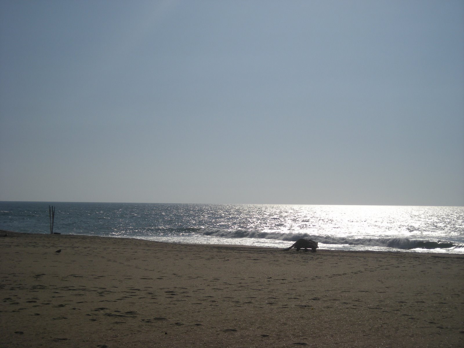 [DSCN1958.JPG]