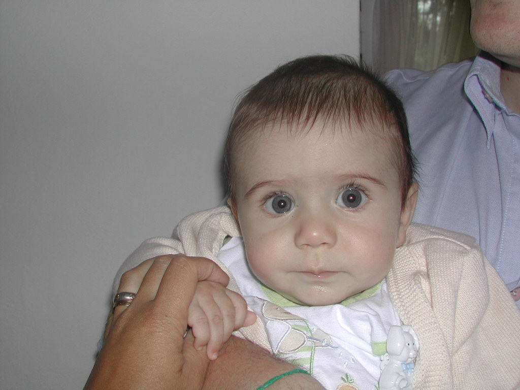 [DSCN2485.JPG]
