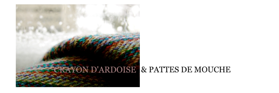 crayon d'ardoise & pattes de mouche