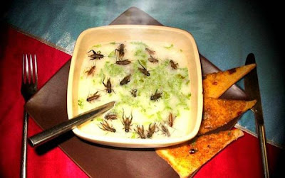 The Most Amazing And Fun Things In The World Chinese Food Specialties