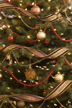 Tree Ribbon