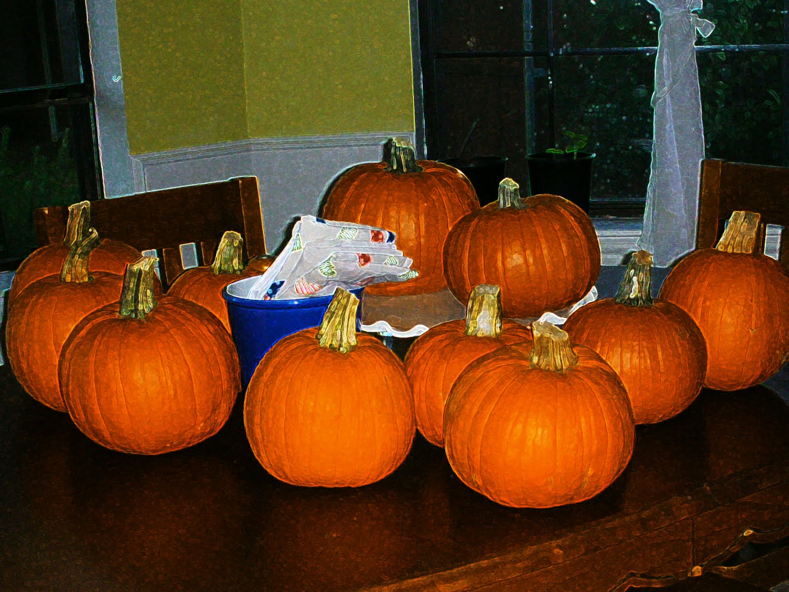 [pumpkins-2.jpg]
