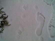 Barefeet in the Snow!