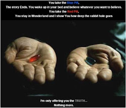 Red Pill Blue pill