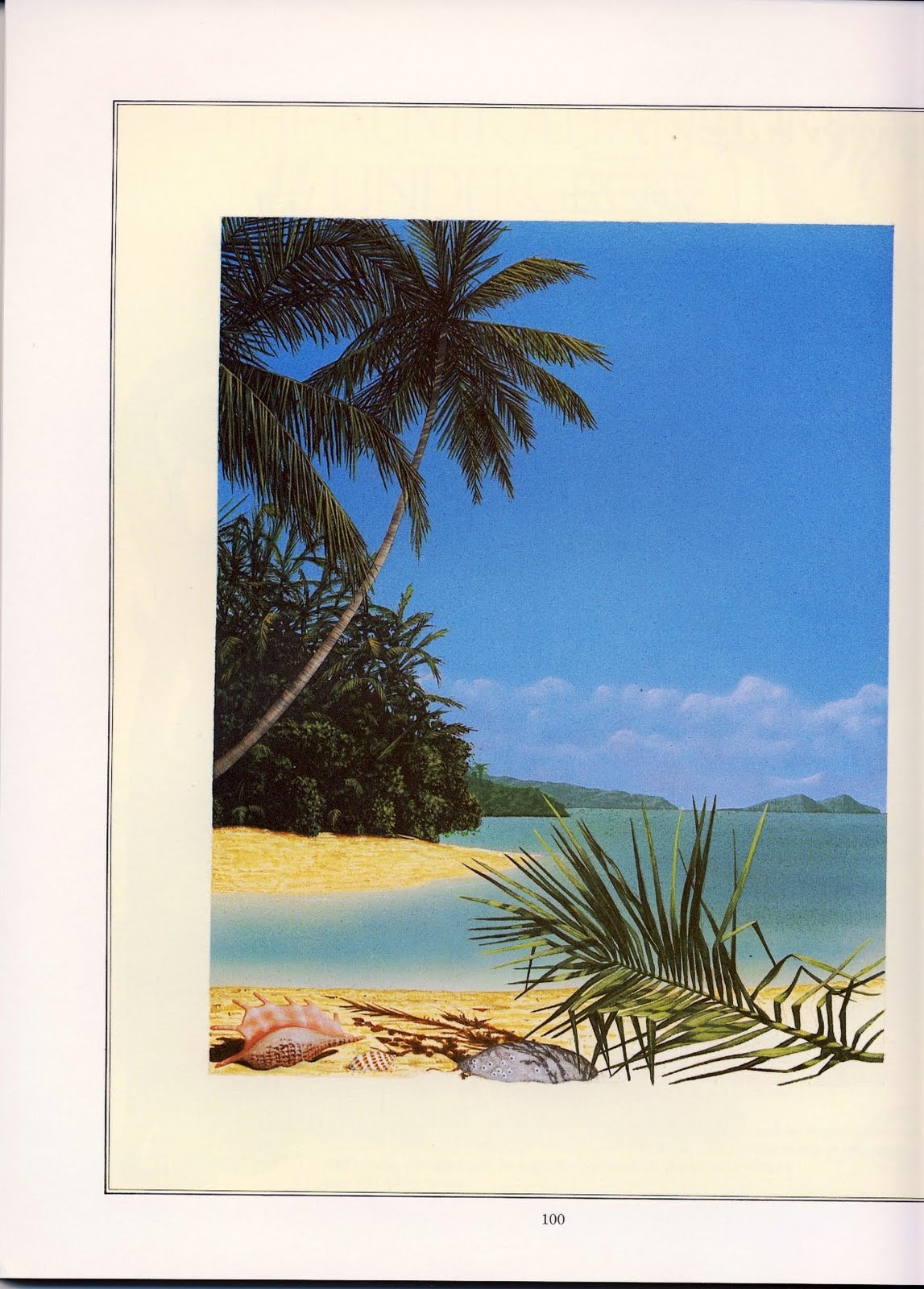 [beach+scene.jpg]