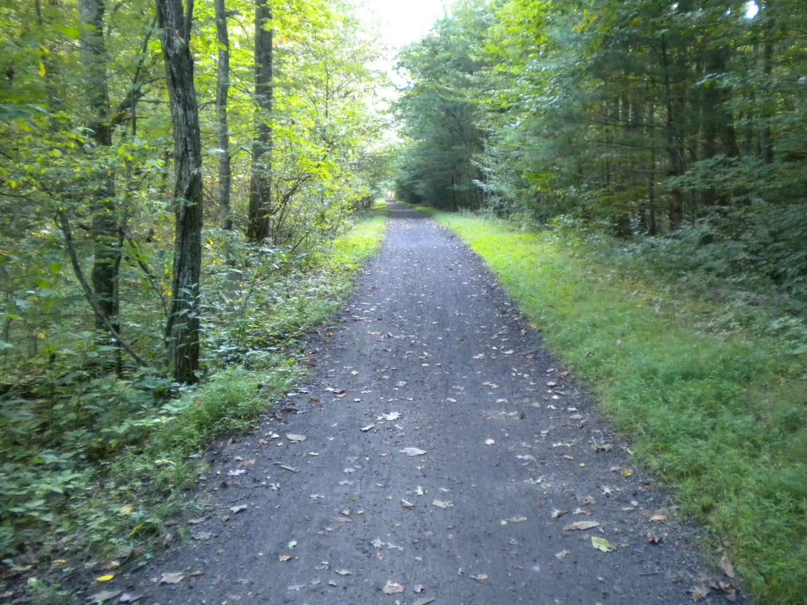 [Creeper+Trail.JPG]