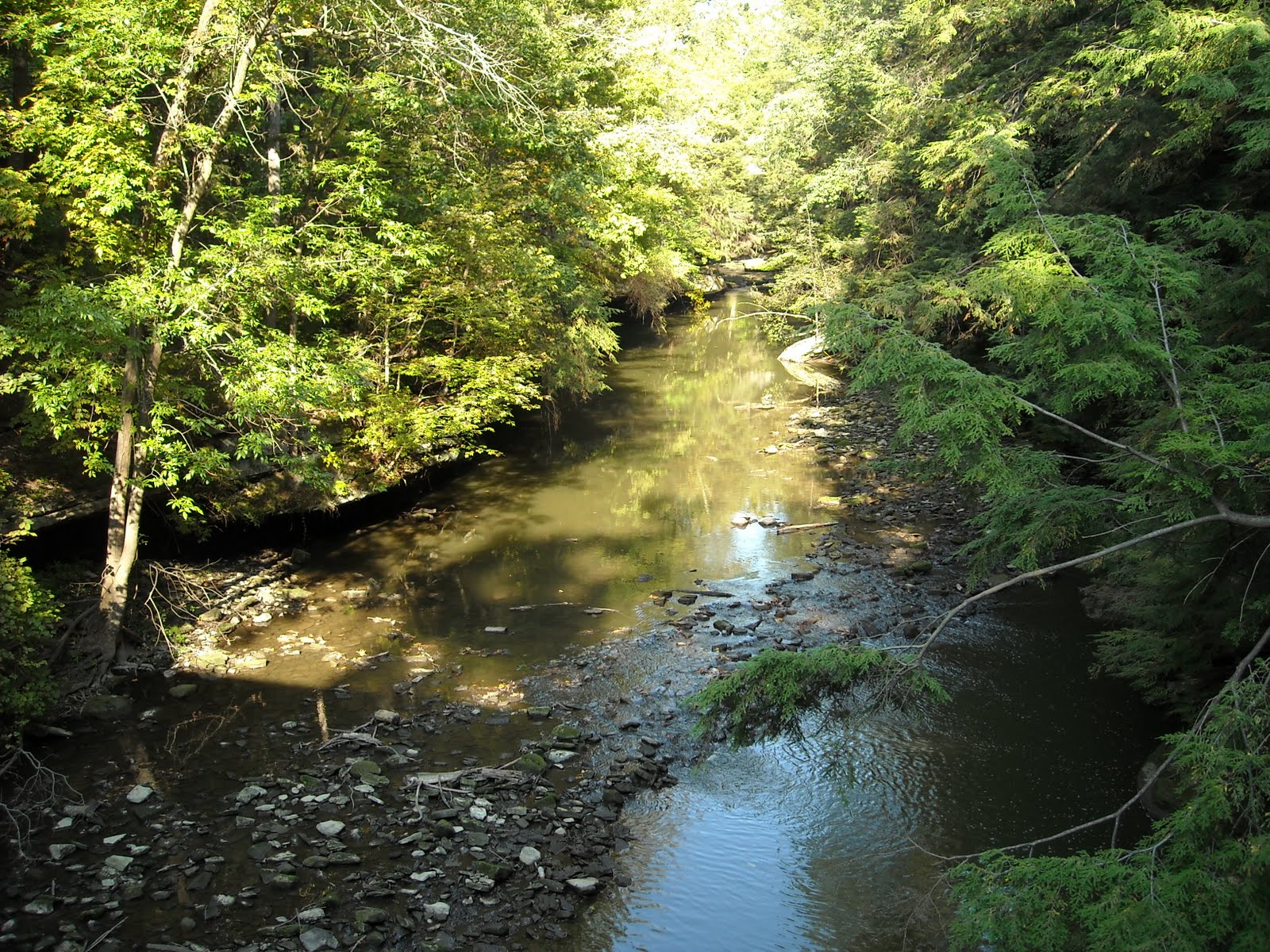 [mill+creek.JPG]