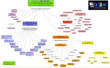 Mapa Conceptual Año Darwin