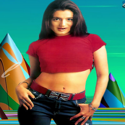 bollywood actress indian amisha patel biography wallpapers career story hairstyles