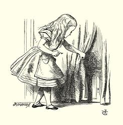 A window in the rabbit hole