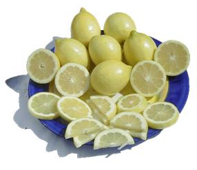 [lemon2.JPG]