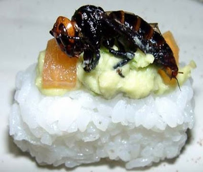 Japanese Weird Food - Insect Sushi Seen On www.coolpicturegallery.us Japanese Weird Food - Insect Sushi Seen On www.coolpicturegallery.us