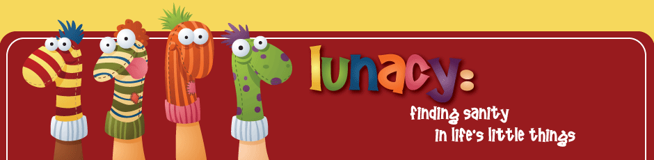 Lunacy: Finding Sanity in Life\