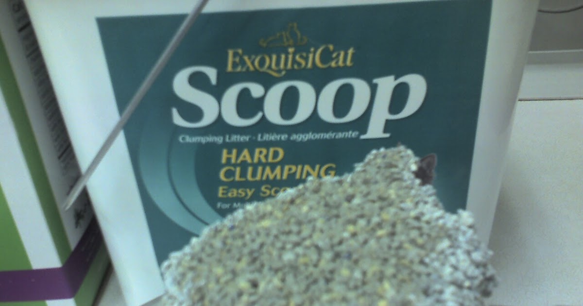 The Family Vet Blog Clay Clumping Litter ExquisiCat