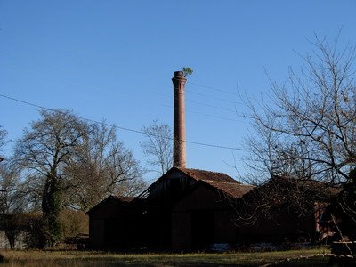 [A1+079.JPG]