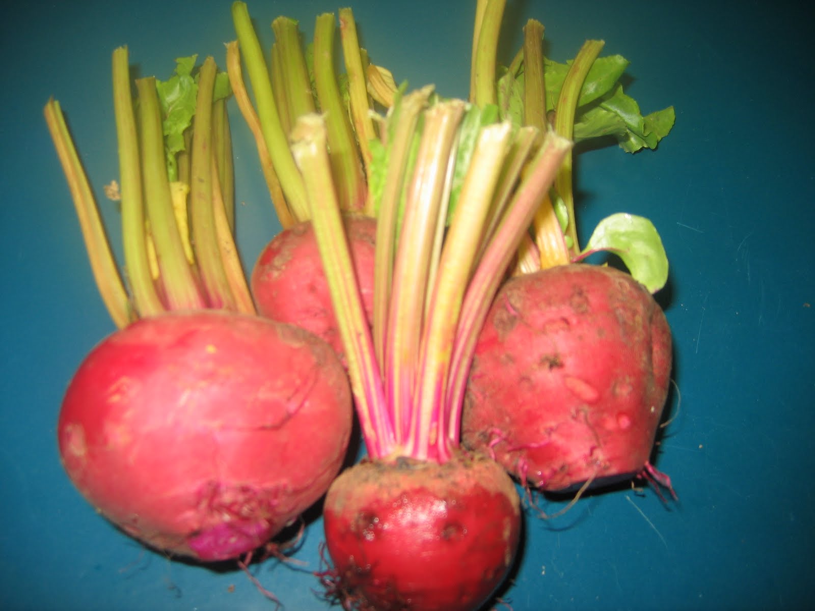 pink beets