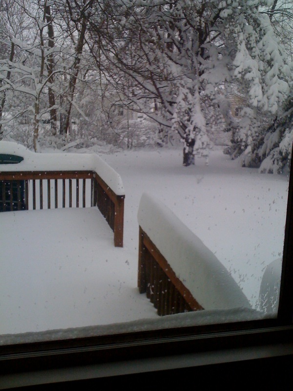 [Snow+in+Cornersburg+OH+Feb-6-2010+(1).jpg]