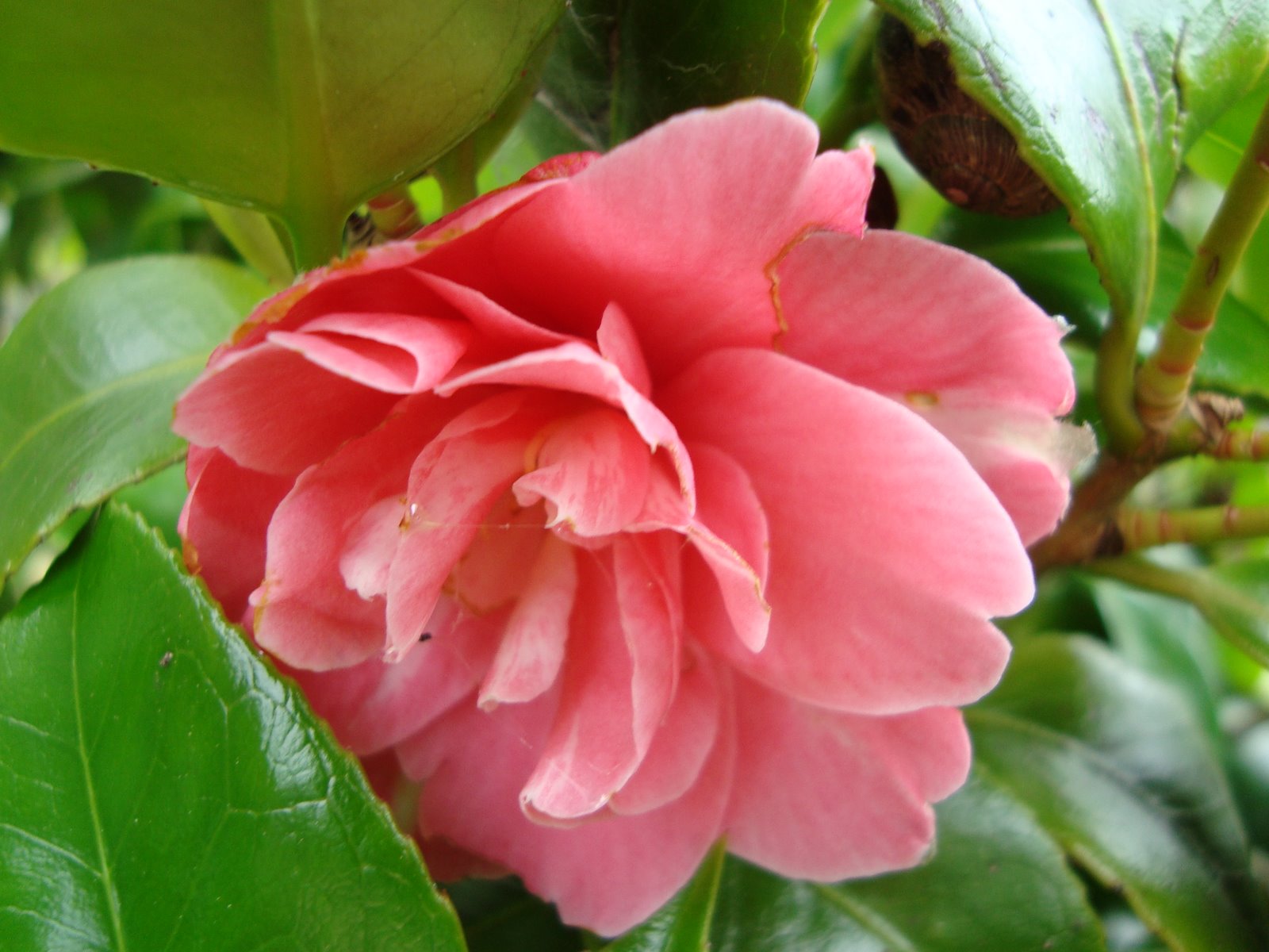 [la+última+del+año.JPG]