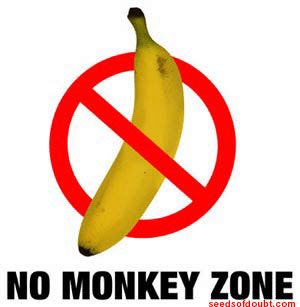 [Immagine: no_monkey_zone2.jpg]