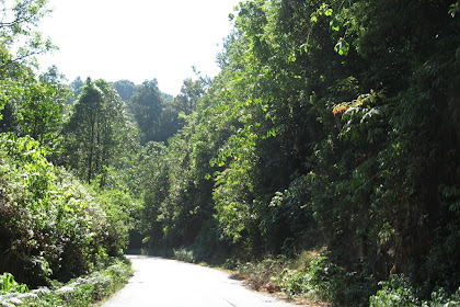 Travel - A pilgrimage.... Part 3 (Agumbe-Sringeri-Horanadu-Vittal)