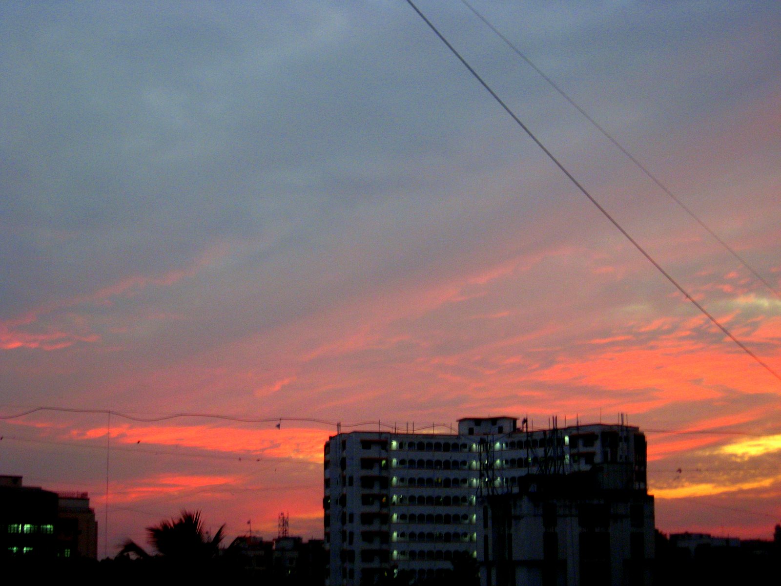 [IMG_3276.JPG]