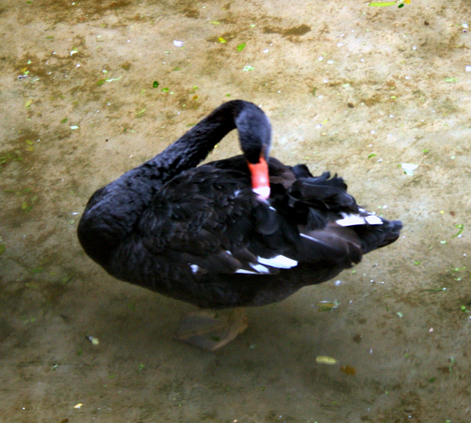 [IMG_0081.JPG]