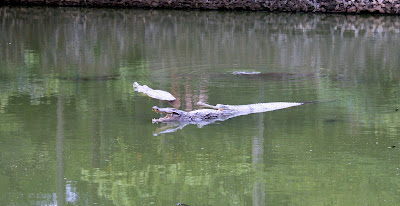 Zoo Mumbai