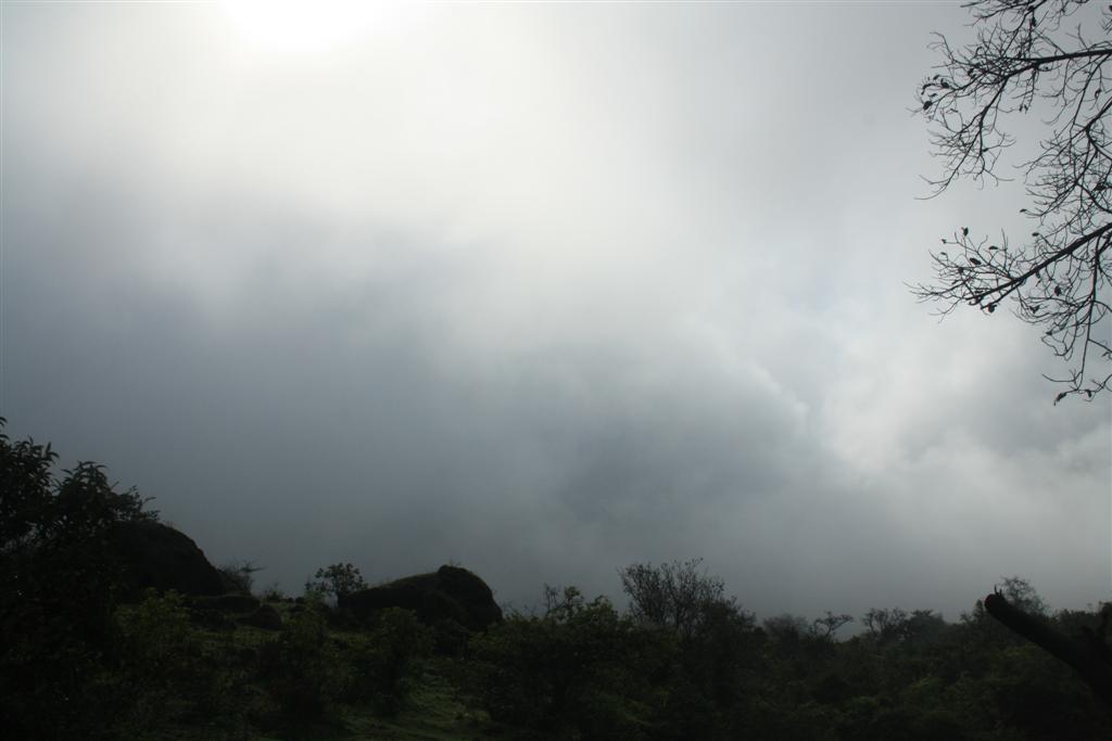[fogged.JPG]