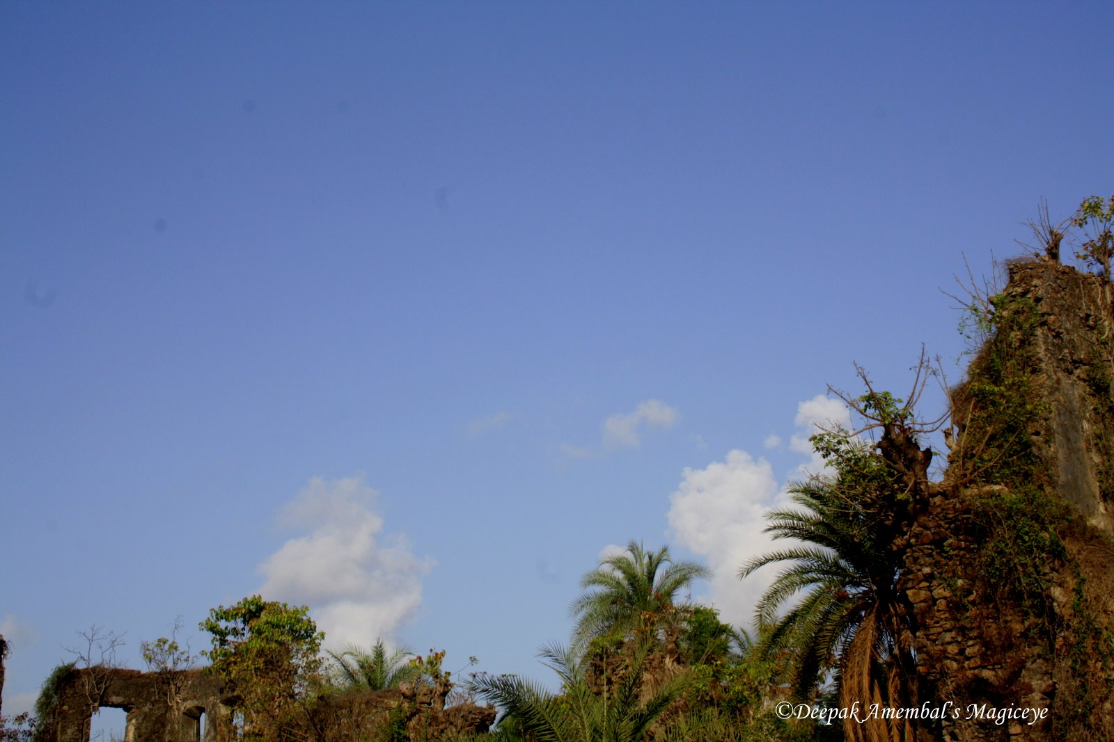 Sky Seen