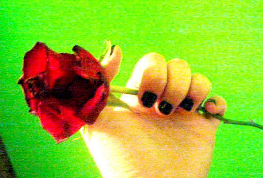 [DSC08302+copia.jpg]