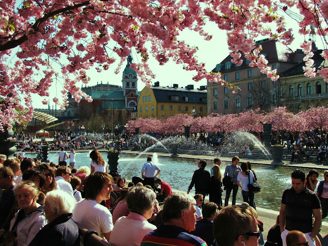 KINGS GARDEN (Stockholm)