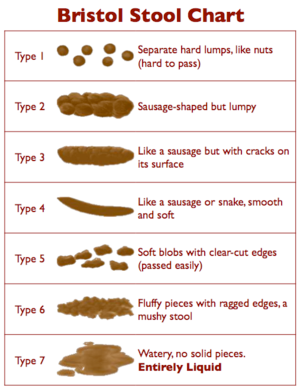 Useful Stool Chart