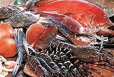 [seafood.jpeg]