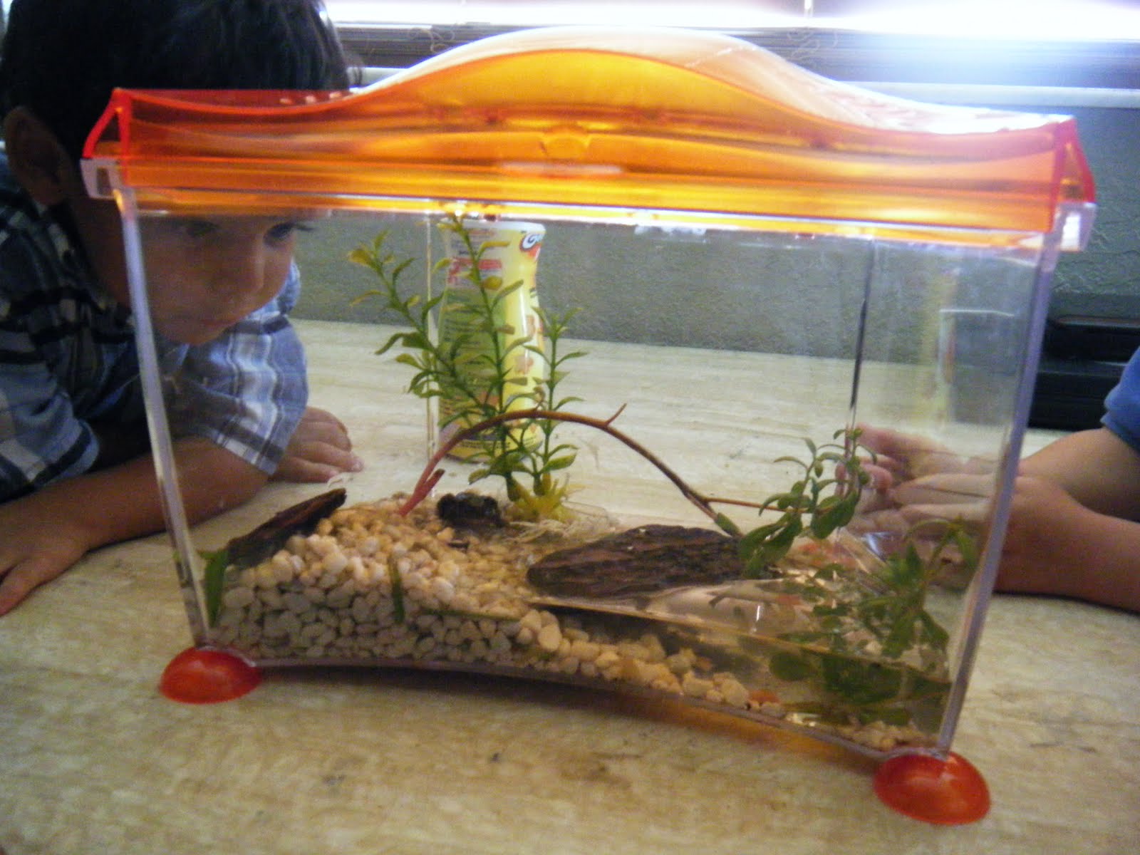 [DSCF1470.JPG]