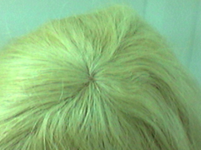 Blond Hair Piece
