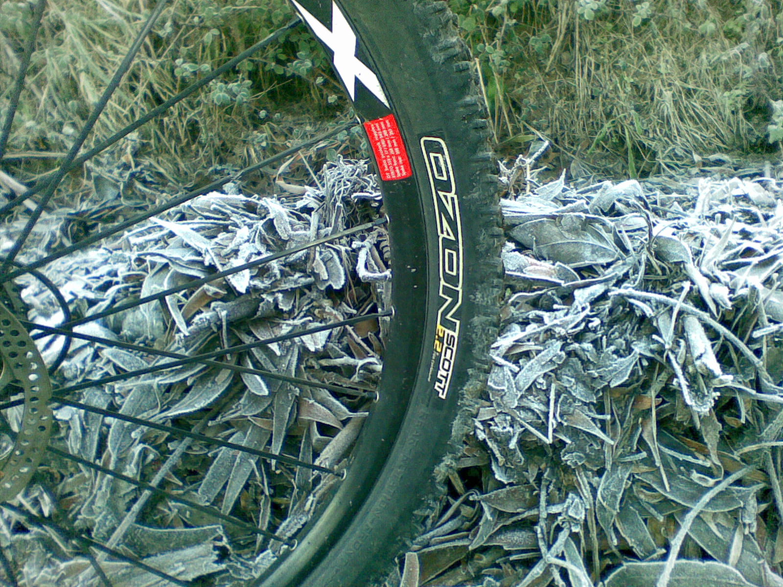 [20122009.jpg]