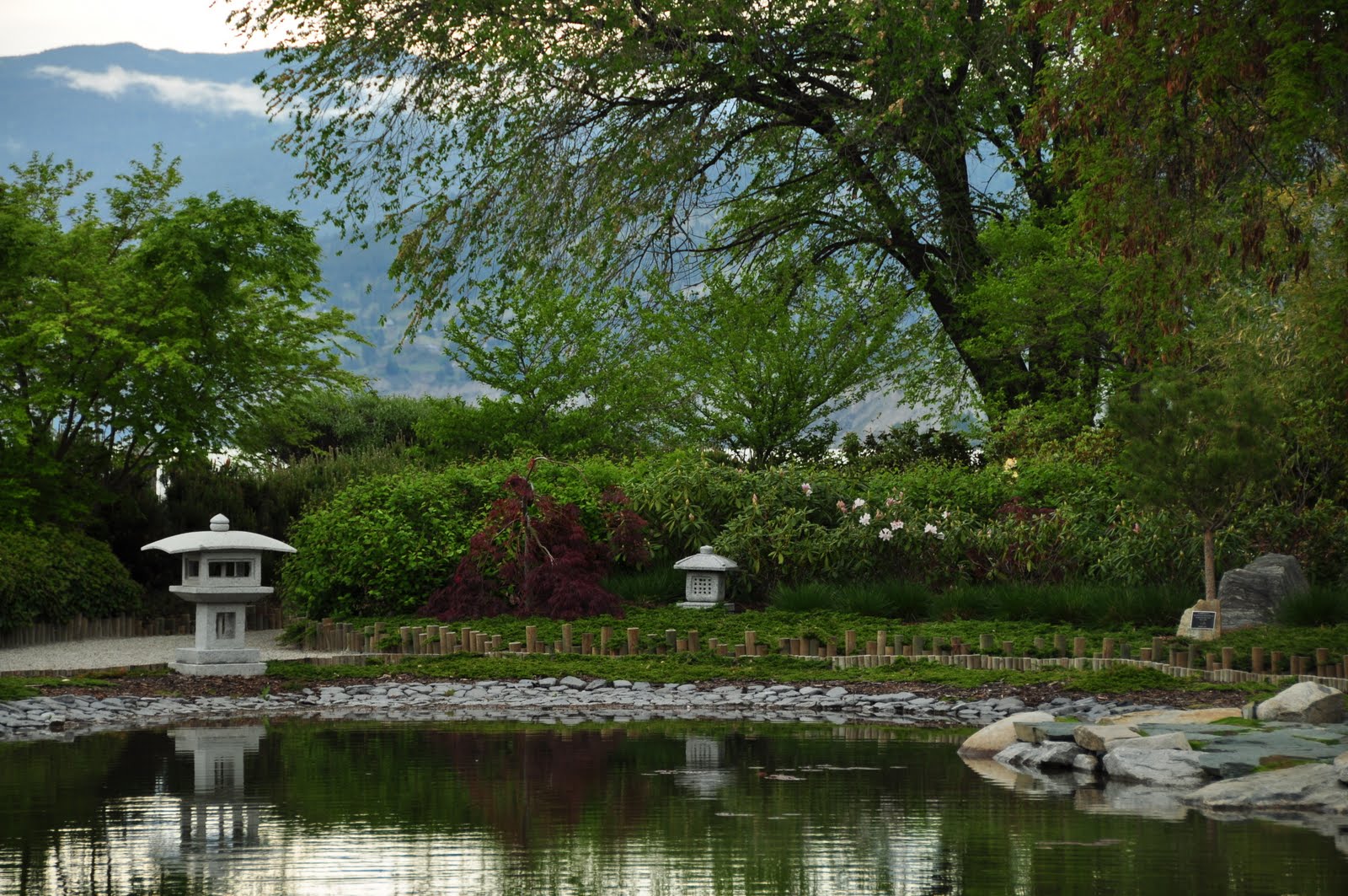 Japanese garden,