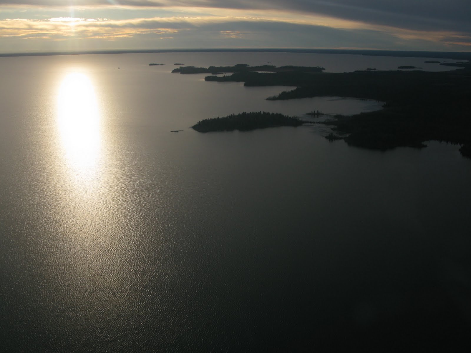Northern Exposure Gardening La Ronge and Wildlife