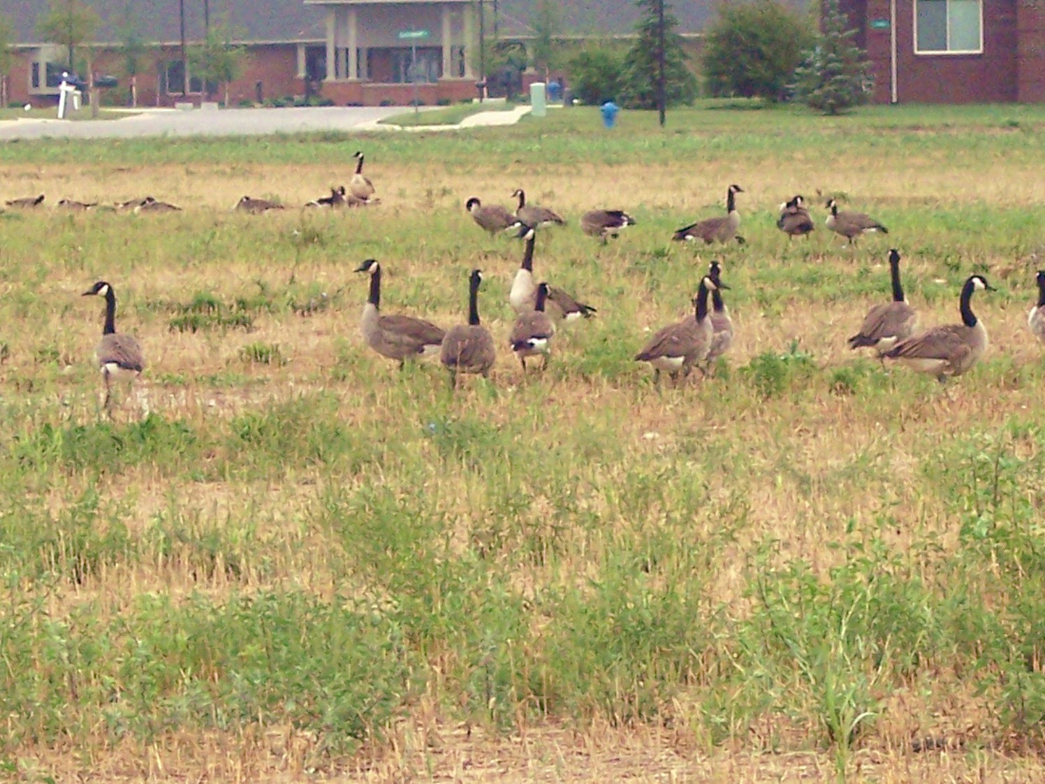 [014.JPG]