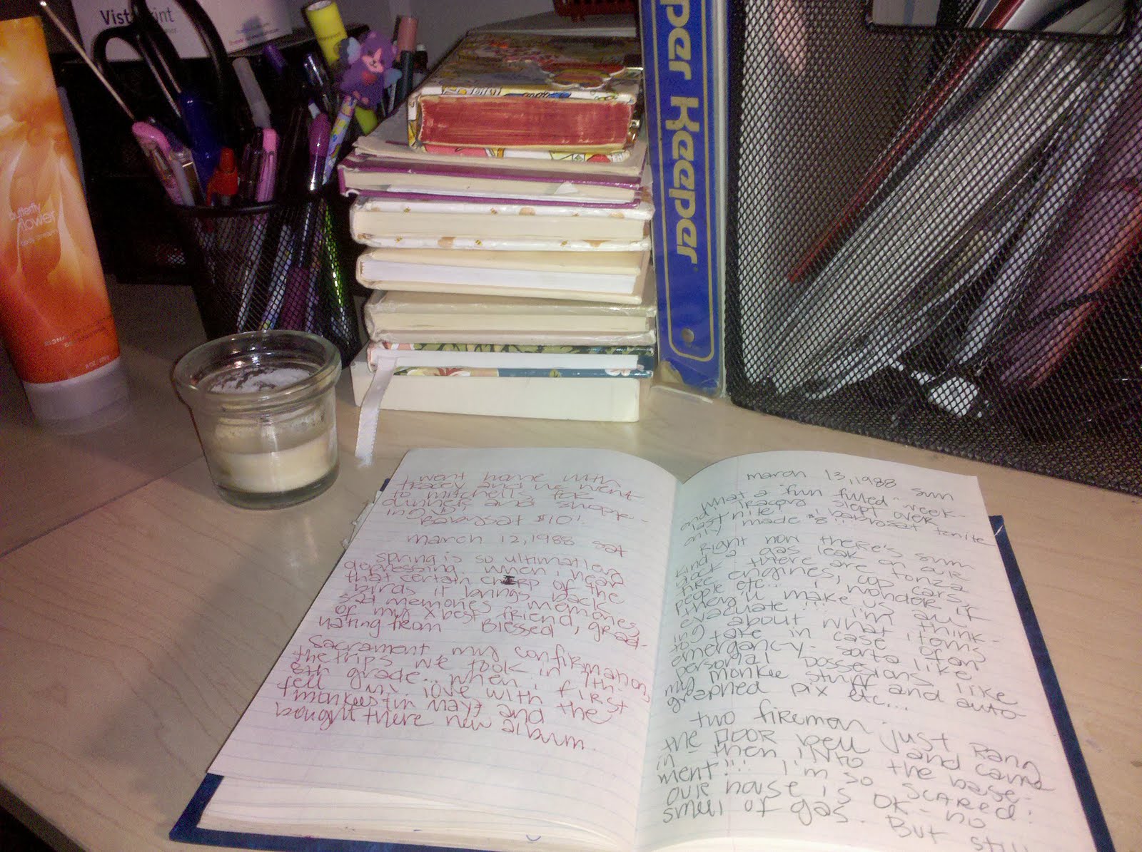 Fourth Grade Nothing High School Diary Entries, March of 1988