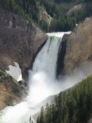 Yellowstone Falls