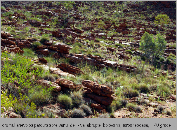 [Alin-Totorean-Australia-15.gif]