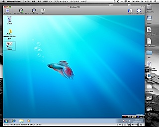 [ピクチャ+4.jpg]