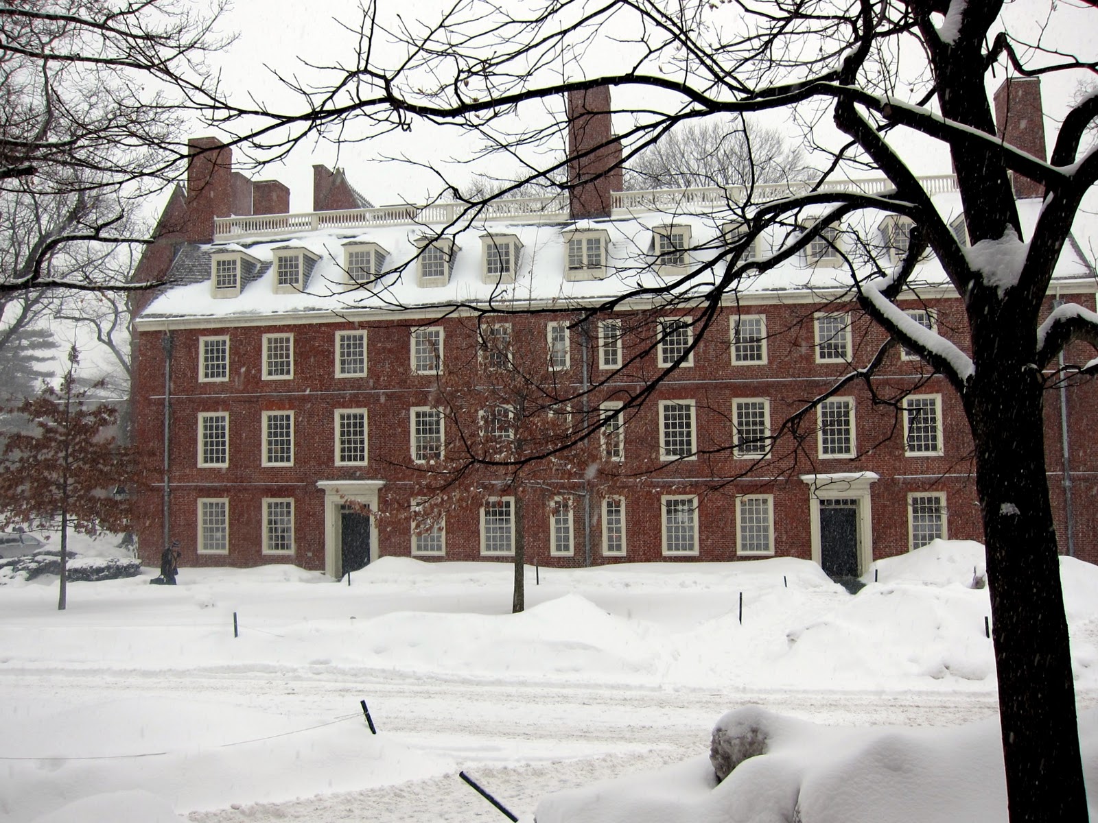 That City Girl Harvard & (shocking) more snow.