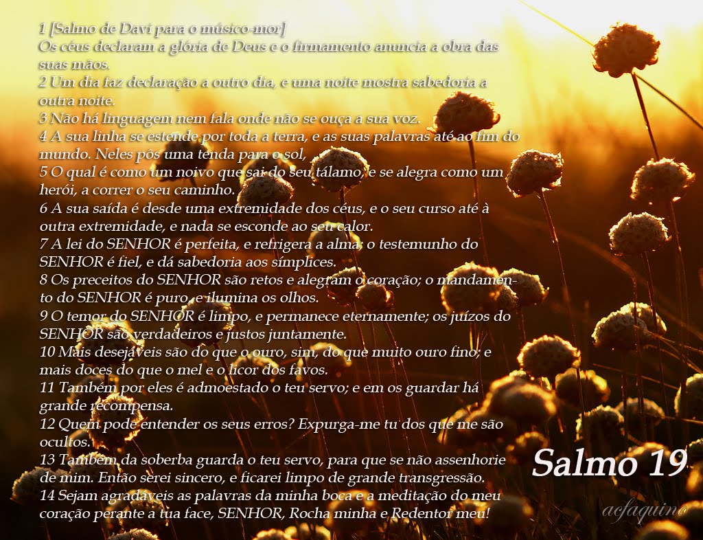 Salmos Salmo 19