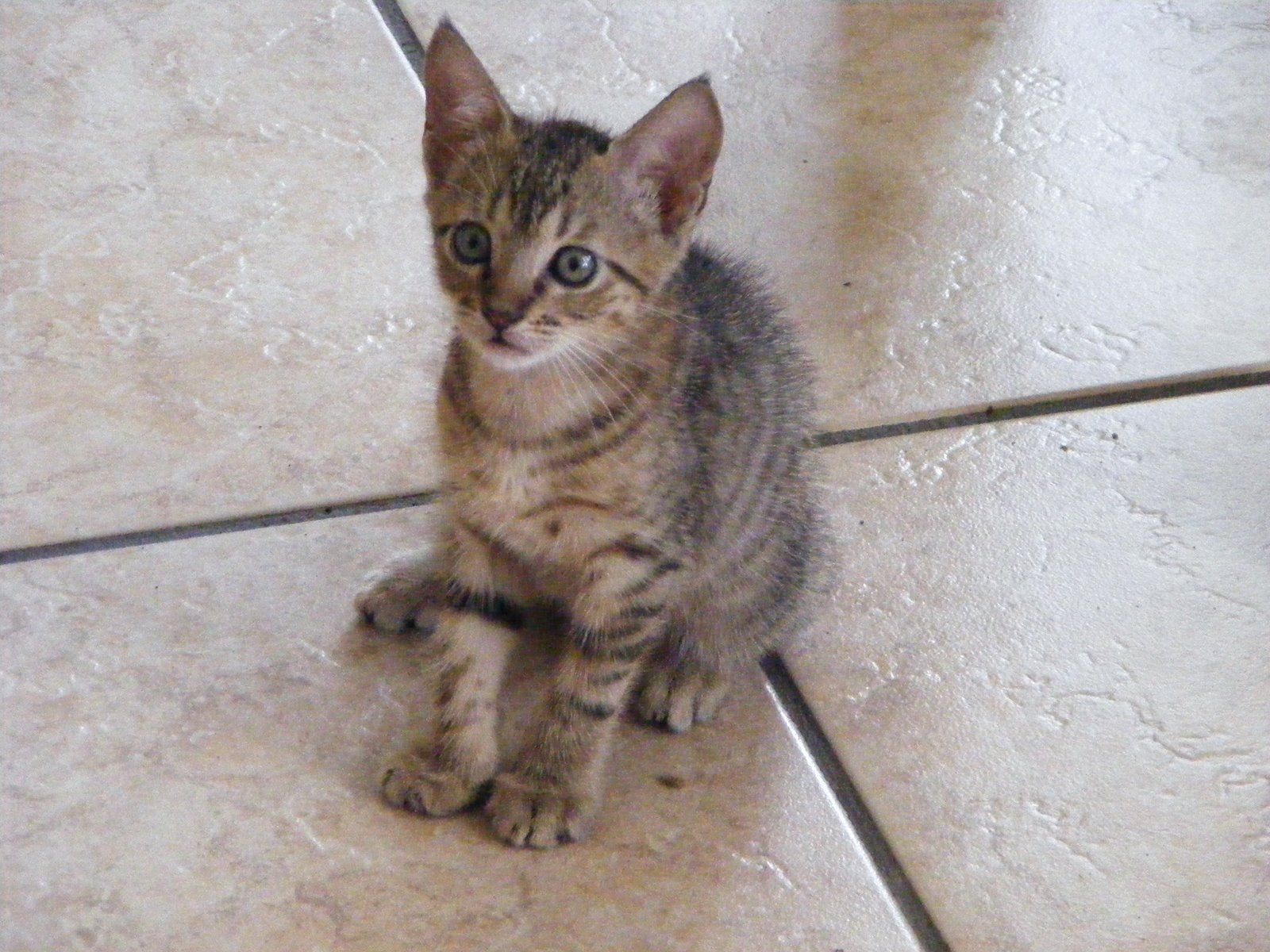 [DSCF4470.JPG]
