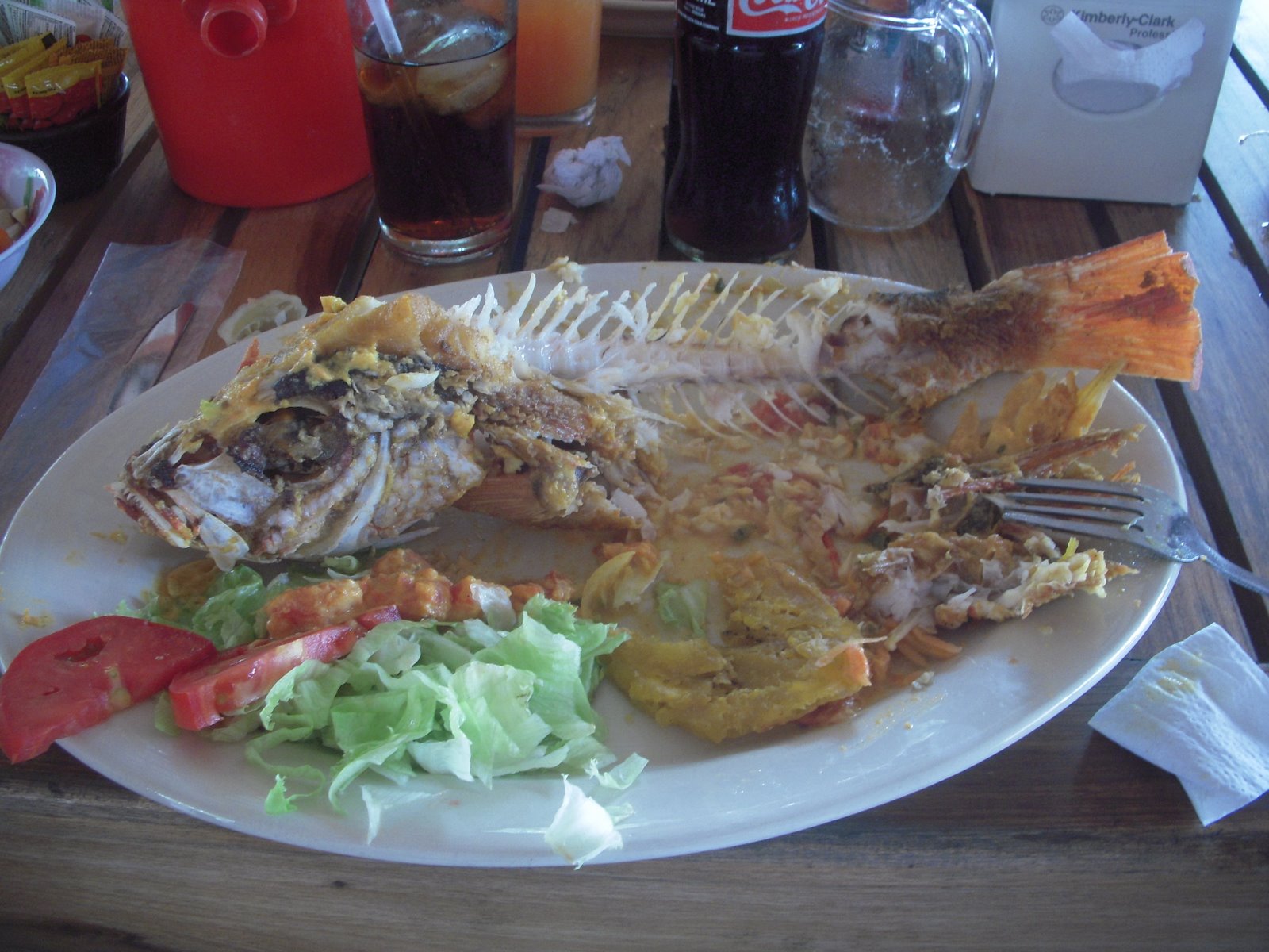 [DSCN1060.JPG]