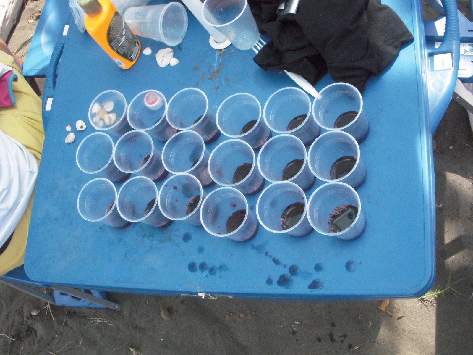 [DSCN2170.JPG]