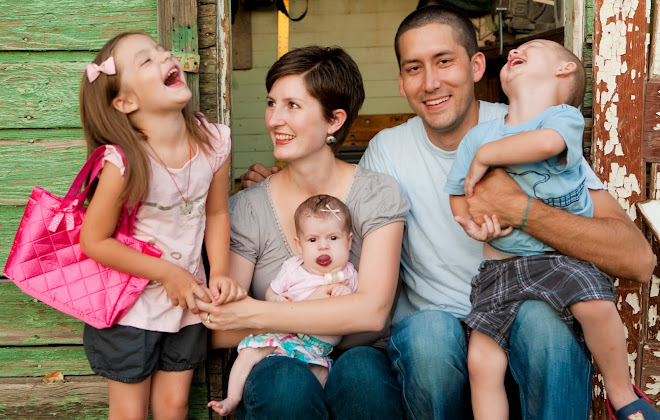 farm house chronicles